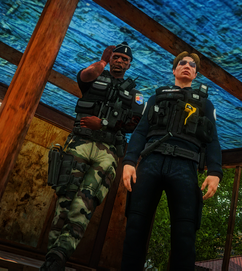 Screenshot Police & Gendarmerie Nationale